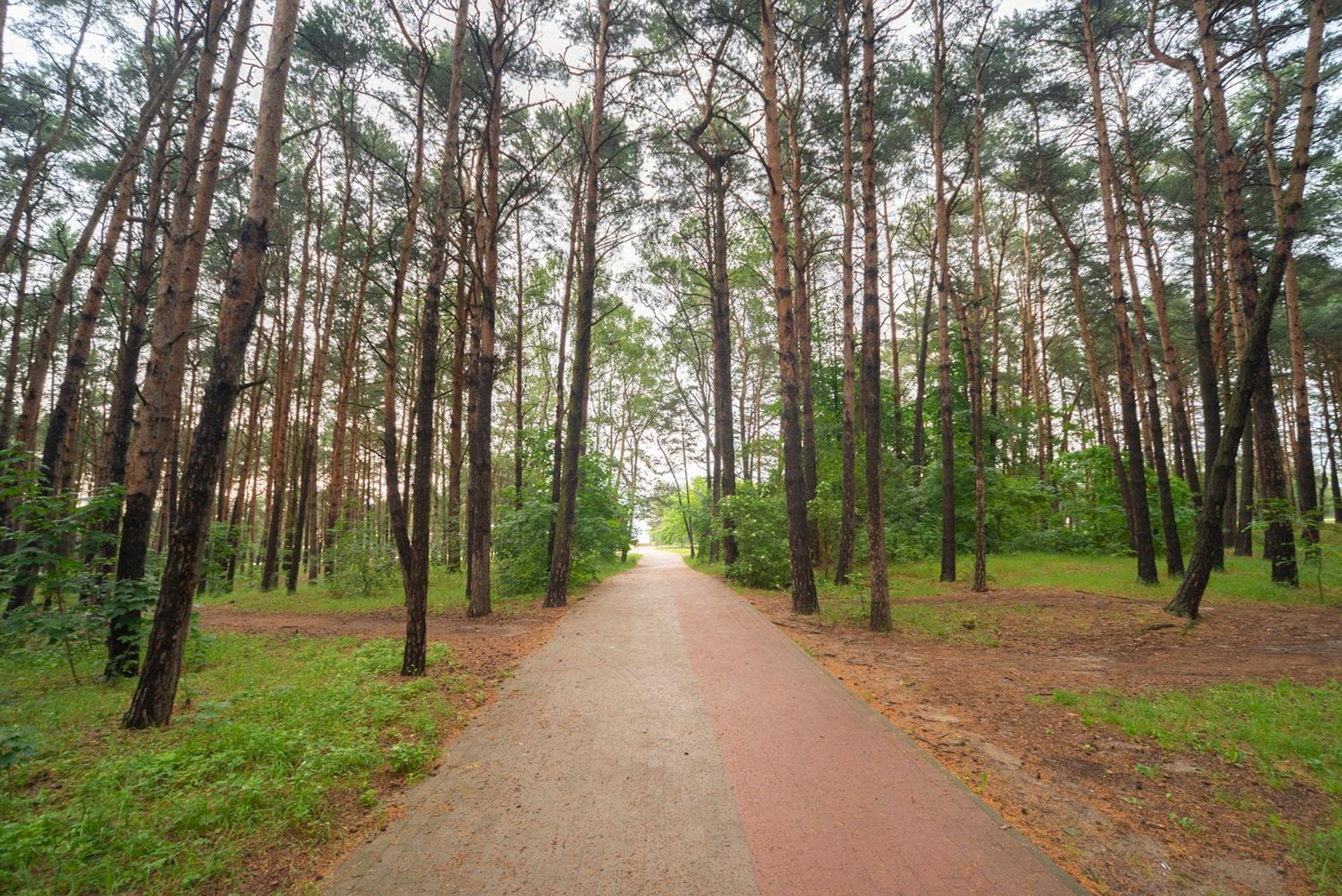Apartament Wygodny Sopot Extérieur photo